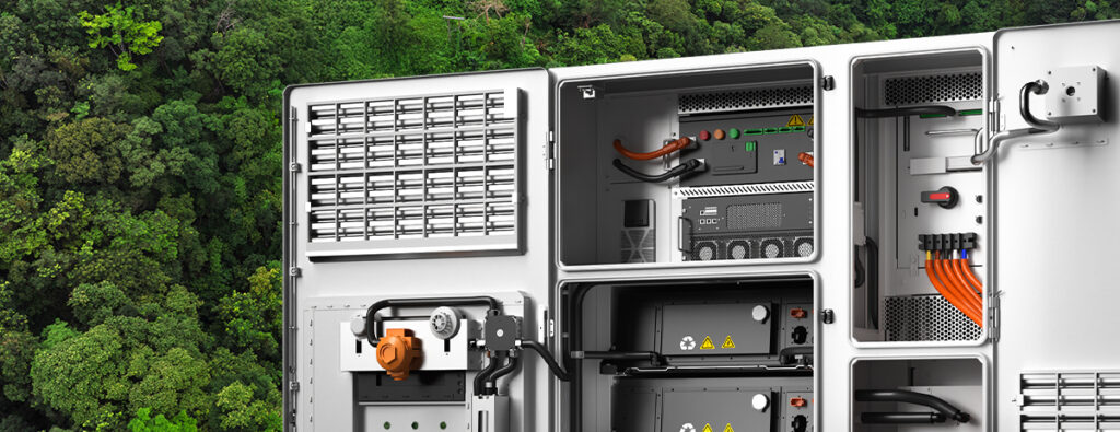 Battery energy solutions in nature